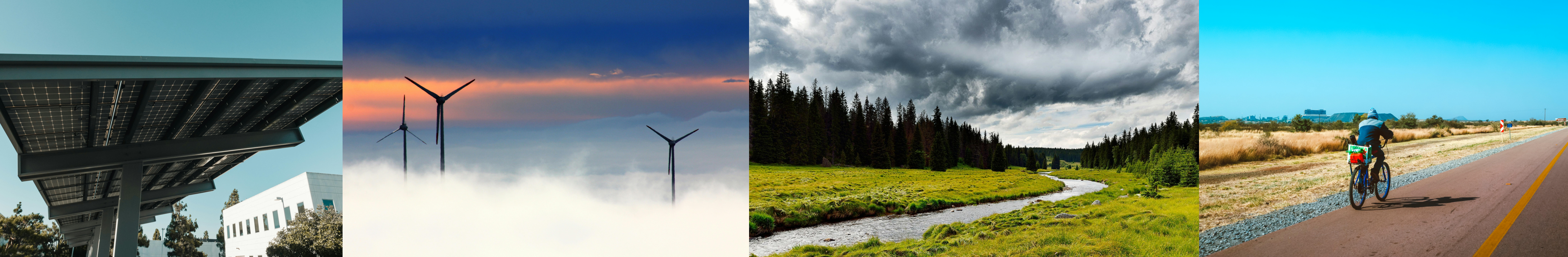 Illustration ecologie